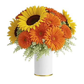 Radiant Bloom Cascade