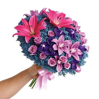 Blushing Rose Symphony