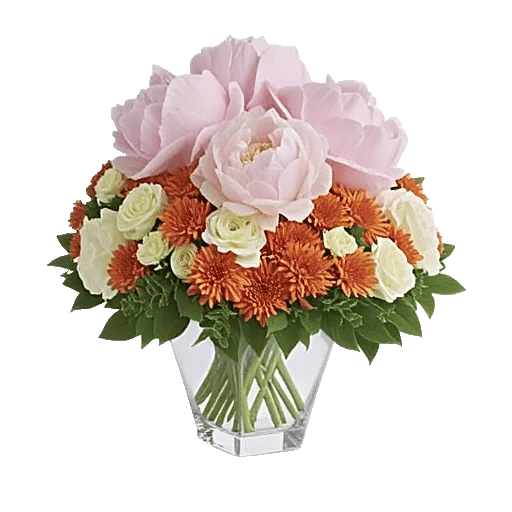 Petal Radiance Bliss