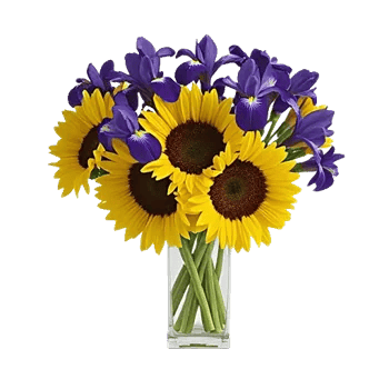 Radiant Bloom Cascade