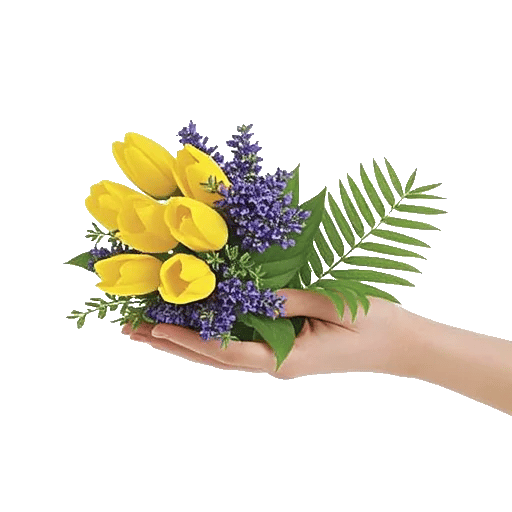 Blossom Harmony Display