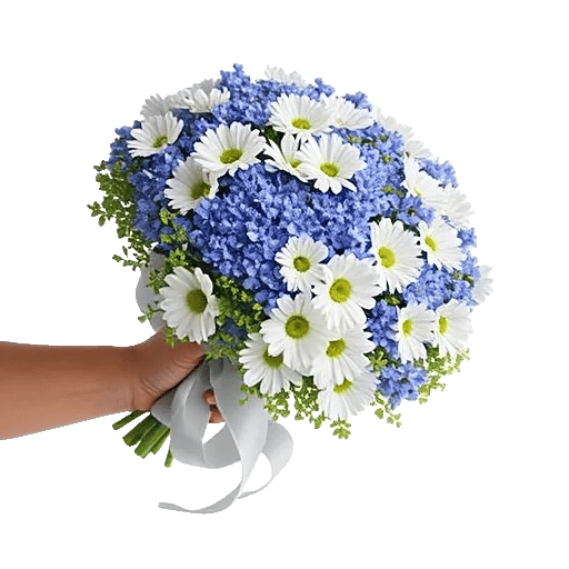 Blossom Petal Serenity