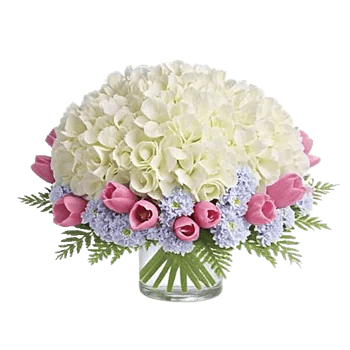 Serene Petal Harmony