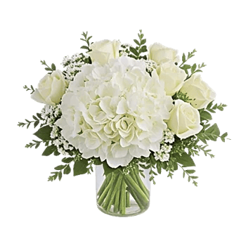 Serene Petal Harmony