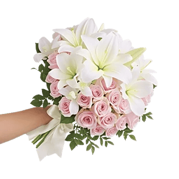 Orchid Bloom Cascade