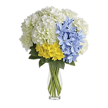 Ivory Blossom Radiance