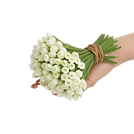 Delicate Petal Cascade