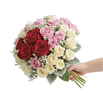 Crimson Rose Elegance