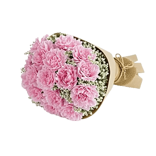 Pastel Pink Roses