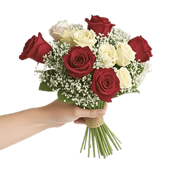 Crimson Rose Elegance
