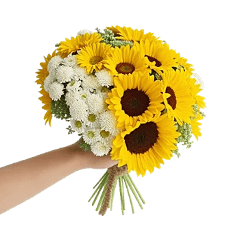Daisy Meadow Spread