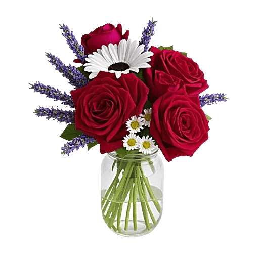 Crimson Rose Elegance