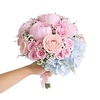 Peony Petal Harmony