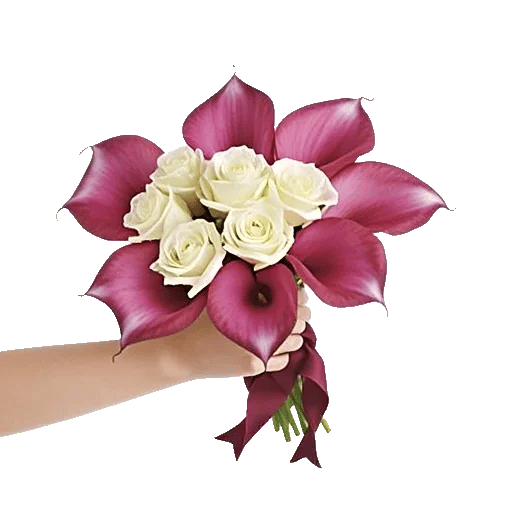 Elegant Calla Lilies