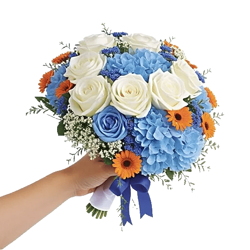 Serene Petal Harmony