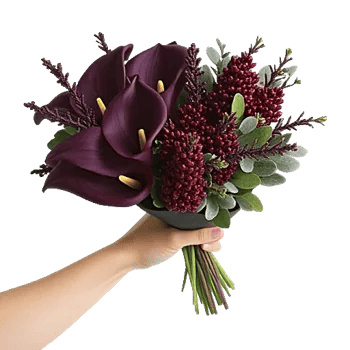 Elegant Calla Lilies