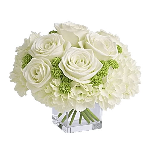 Serene Petal Harmony