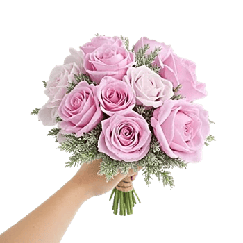 Pastel Pink Roses