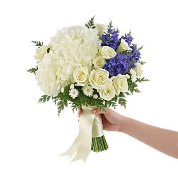 Ivory Garden Grace