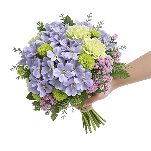 Serene Petal Harmony