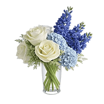 Serene Petal Harmony