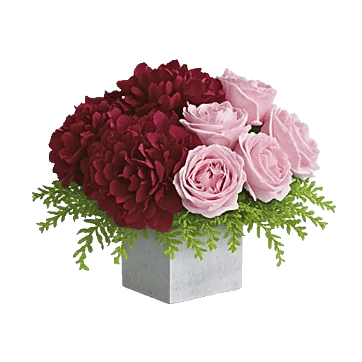 Petal Radiance Bliss