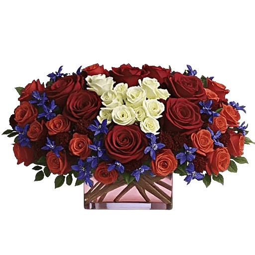 Radiant Rose Symphony