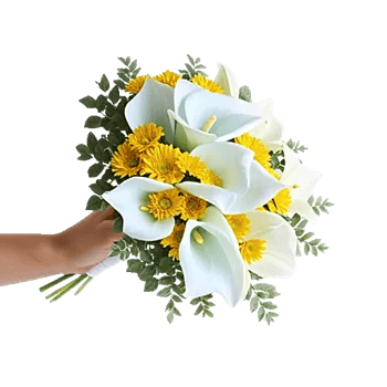 Elegant Calla Lilies