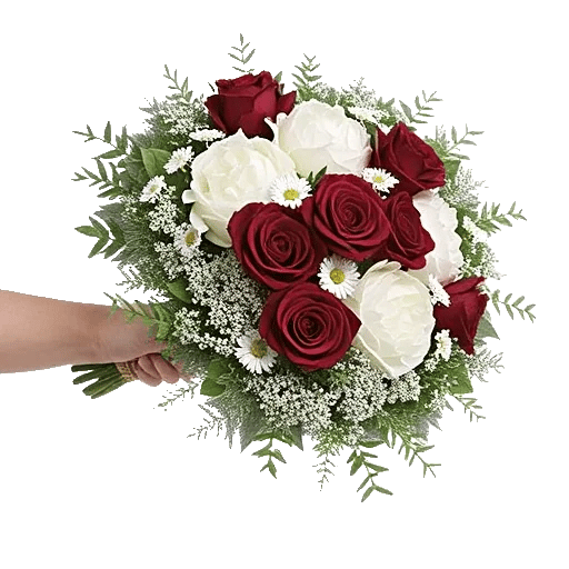 Peony Petal Harmony