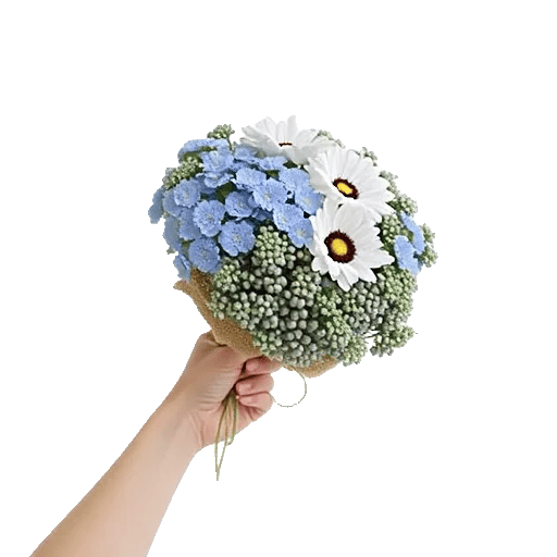 Blossom Petal Serenity