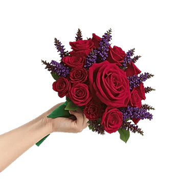 Ruby Petal Cascade