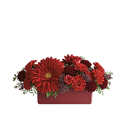 Deep Red Foliage