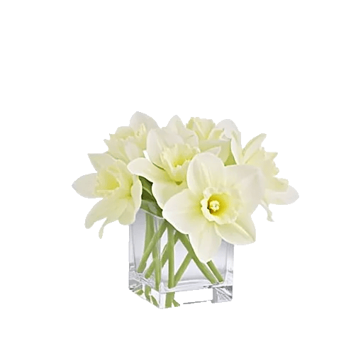 Graceful Lily Display