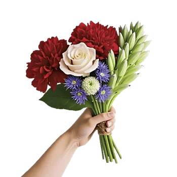 Delicate Petal Cascade