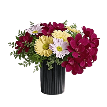 Orchid Bloom Cascade