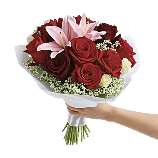 Crimson Rose Elegance