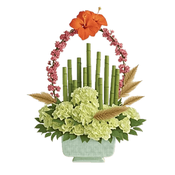 Ivory Blossom Radiance