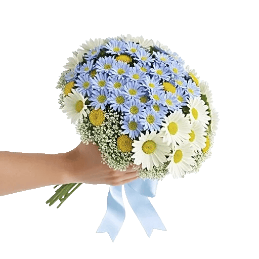 Blossom Petal Serenity