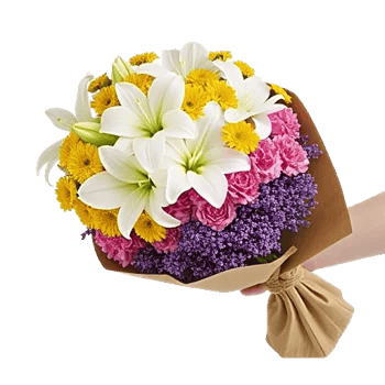 Blossom Harmony Display