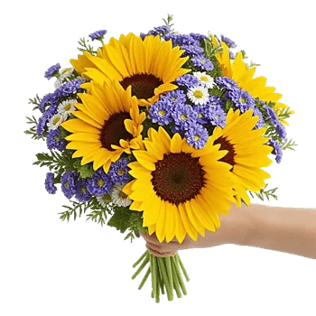 Twinkling Sunflower Dance