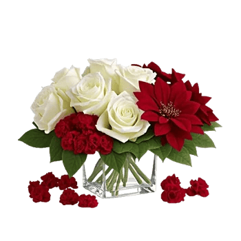 Delicate Petal Cascade