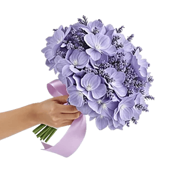 Lavender Fields Forever