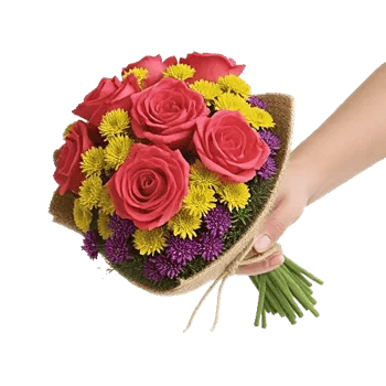 Coral Blossom Harmony