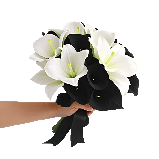 Elegant Calla Lilies