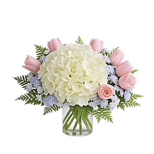 Serene Petal Harmony