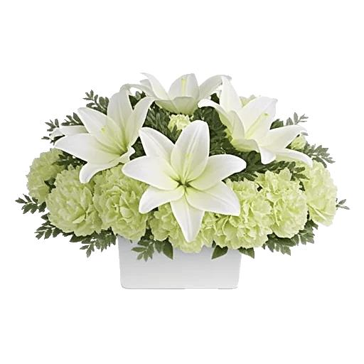 Graceful Lily Display