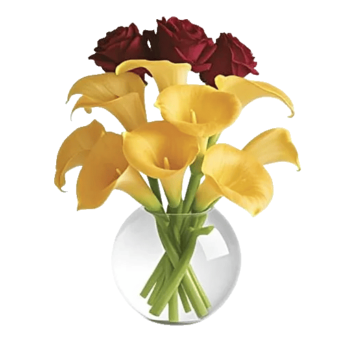 Elegant Calla Lilies