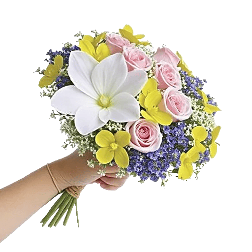 Ivory Garden Grace