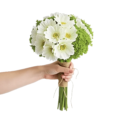 Delicate Petal Cascade