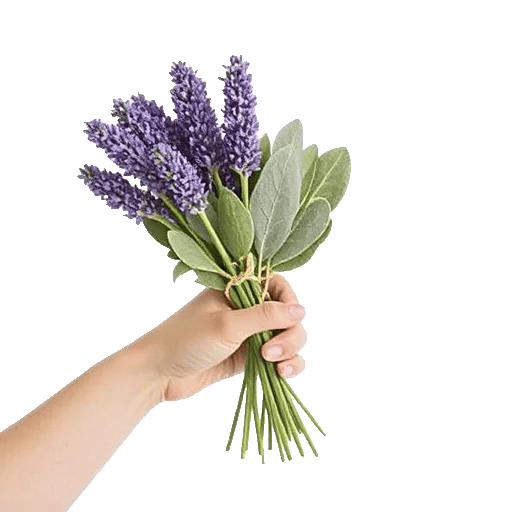 Lavender Bloom Grace